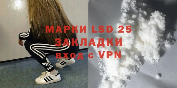 стаф Михайловск