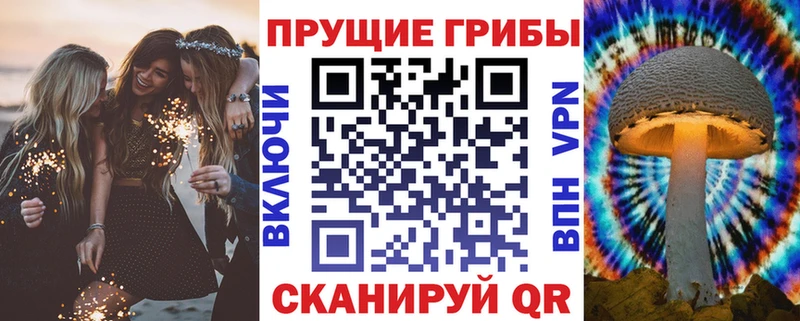 Псилоцибиновые грибы Psilocybine cubensis  Сургут 