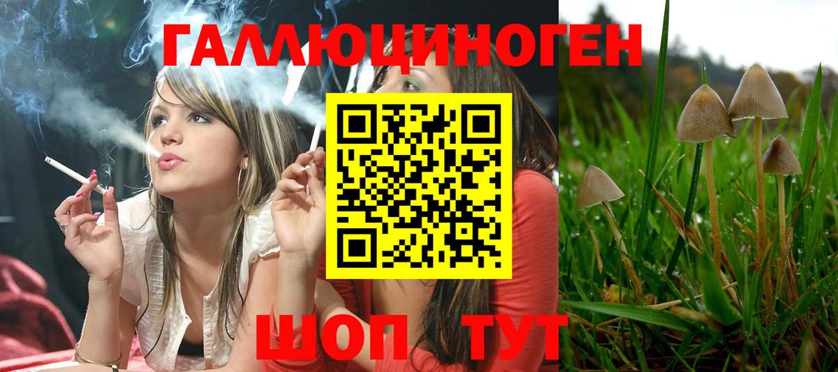 Псилоцибиновые грибы мицелий Сургут