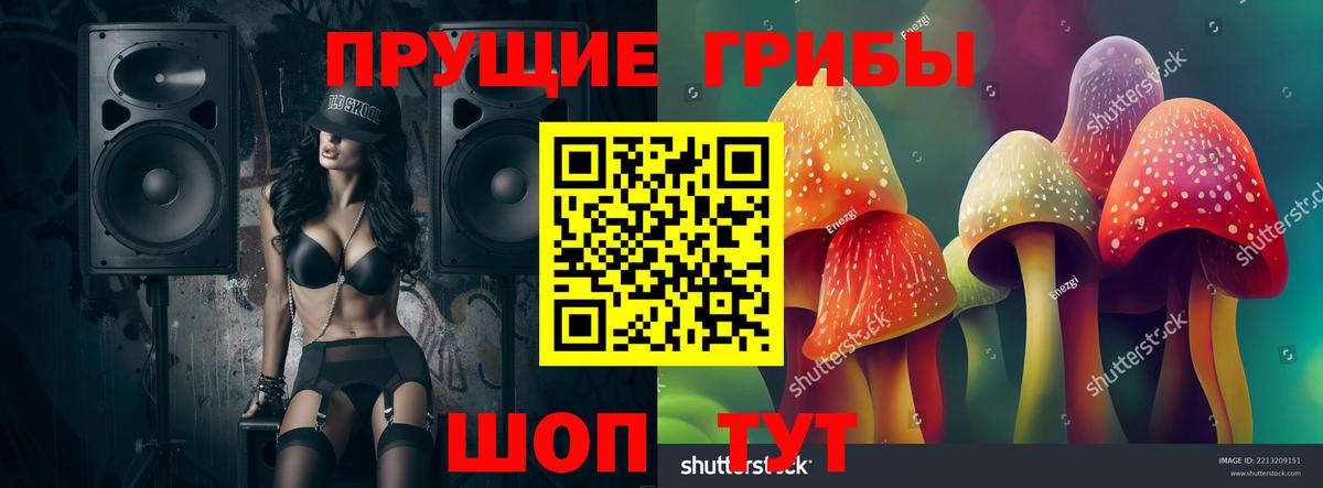 Галлюциногенные грибы прущие грибы  Сургут 